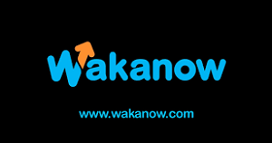 wakanow