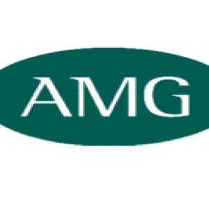 Asset Management Group- Needs Accountant Staff