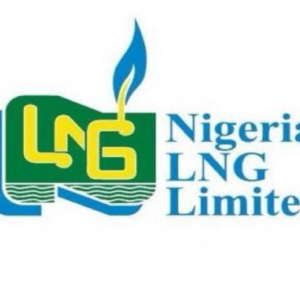 Nigeria LNG Limited (NLNG) Job Recruitment  Positions- Senior Payment Accountant