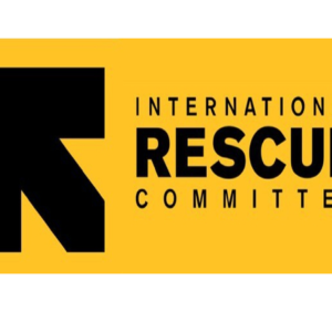 The International Rescue Committee Needs- Procurement Officer