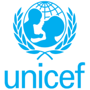 UNICEF (United Nations International Children's Emergency Fund) Needs Information Management Officer