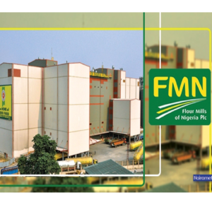 Flour Mills of Nigeria Plc Needs-Operational Excellence Officer