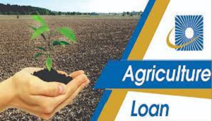 agriculture loan