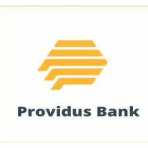 Cluster Compliance Officer at Providus Bank Plc