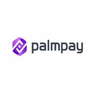 PalmPay Limited Needs- Sales Manager