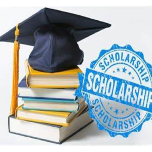 Award Ongoing -Federal Government Scholarship 2023/2024